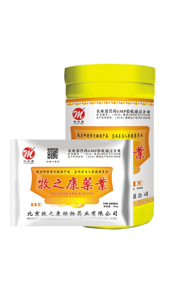 白冠速治